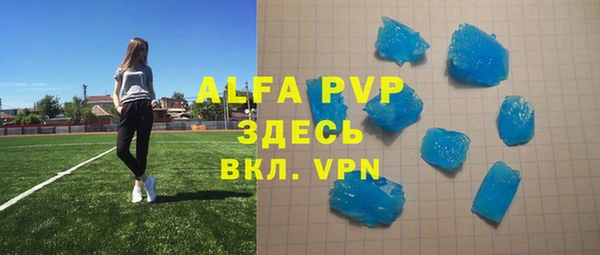 прущие грибы Волоколамск