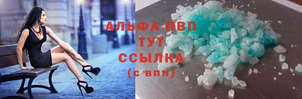 прущие грибы Волоколамск