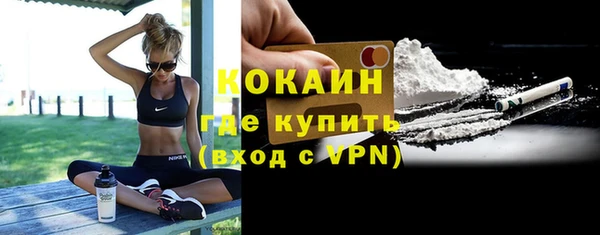 прущие грибы Волоколамск