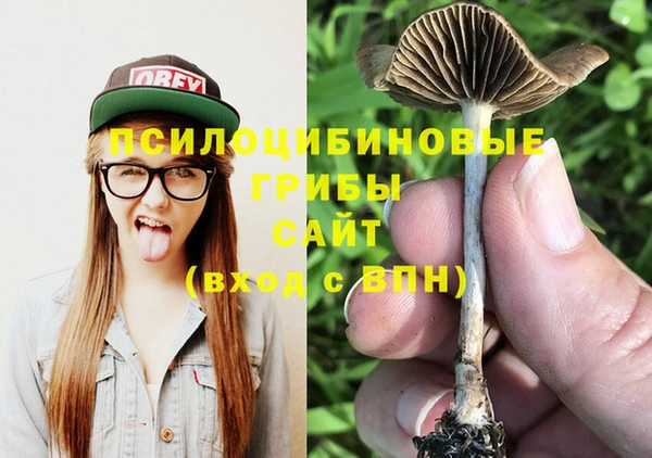 гидропоника Семёнов